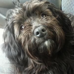 Meet your Posher, Cheri